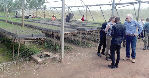 Officials of AstraZeneca and NGPTA touring one of the seed gardens that have been developed to provide seedlings for the project Officials of AstraZeneca and NGPTA touring one of the seed gardens that have been developed to provide seedlings for the project