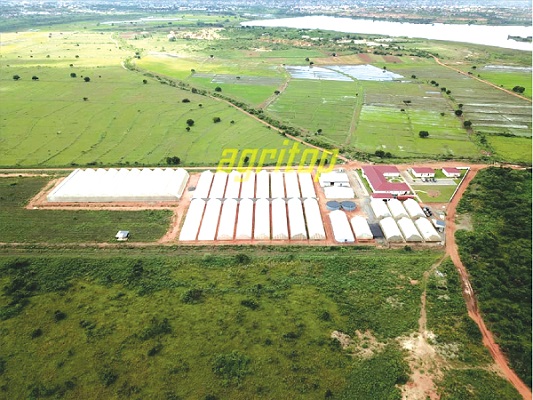 One of the greenhouses in the three villages