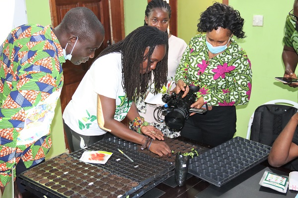 Alberta Nana Akyaa Akosa, Executive Director, Agrihouse Foundation demonstrating the seed planting process to press. Picture: ELVIS NII NOI DOWUONA