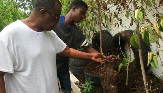 Dr Paul Kofi Fynn explaining a point to a visitor to the garden