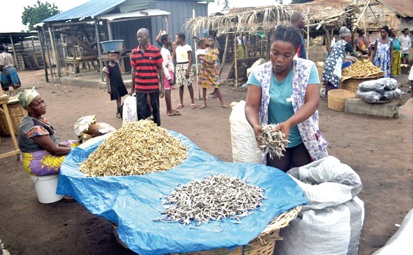 Fish on sale at the Mafi-Kumase market