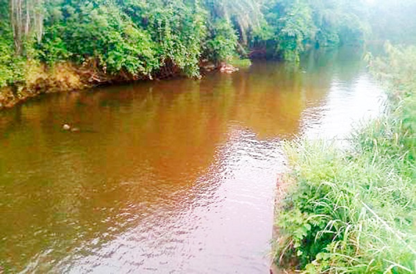 A section of the Birim River A section of the Birim River