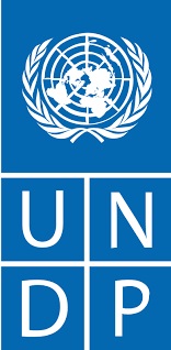 Ghana needs $522b for SDGs effort - UNDP discloses Ghana needs $522b for SDGs effort - UNDP discloses