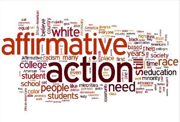 No Affirmative Action law, no vote - Panellists at dialogue declare