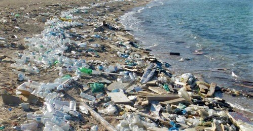 The best of all Mosques is the greenish environment (Muhammad, PBUH)