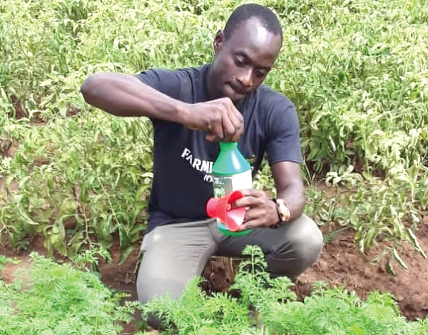 Study discovers organic fertiliser for high yields Study discovers organic fertiliser for high yields