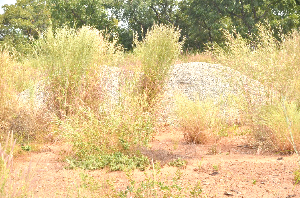Some chippings left at the site by the project contractors Some chippings left at the site by the project contractors