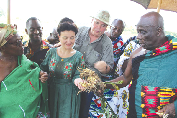 Mr Bühler (2nd from right) showing Osagyefuo Amoatia Ofori Panin (right), the Okyenhene, some of the ginger being cultivated on the Bunso Organic Demonstration Farm. With them are Nana Dokua (left), the Okyenhemaa; Cristine (3rd from left), the wife of Mr Bühler, and Dr Isaac Adodoadji (2nd from left). Mr Bühler (2nd from right) showing Osagyefuo Amoatia Ofori Panin (right), the Okyenhene, some of the ginger being cultivated on the Bunso Organic Demonstration Farm. With them are Nana Dokua (left), the Okyenhemaa; Cristine (3rd from left), the wife of Mr Bühler, and Dr Isaac Adodoadji (2nd from left).