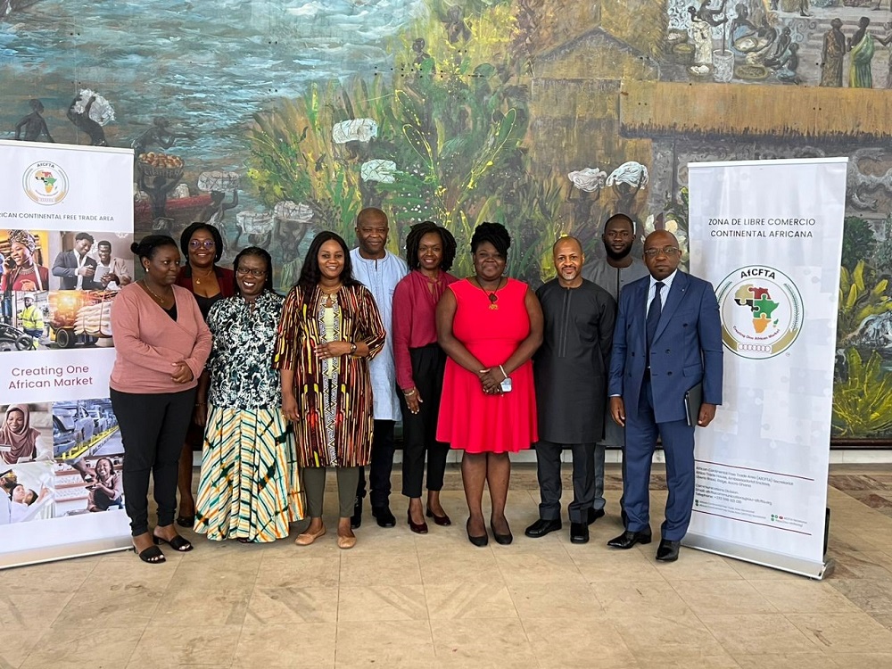 The delegation from the Gambian Chamber of Commerce meeting with officials of AfCFTA Gambia promotes investment in cultural goods and services