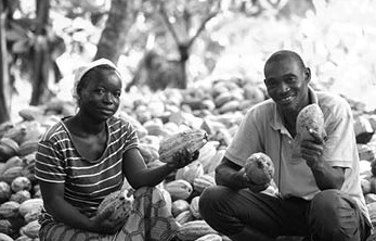 Fairtrade Africa has undertaken interventions to address root causes of poverty among smallholder farmers Fairtrade Africa has undertaken interventions to address root causes of poverty among smallholder farmers