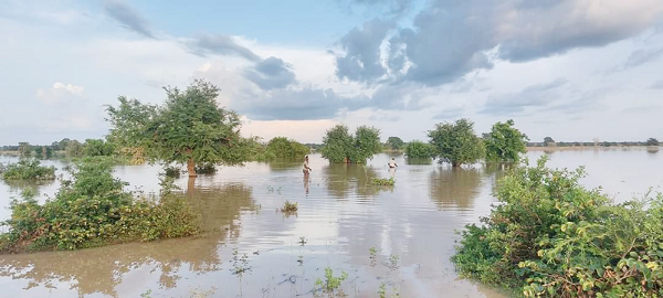 Some farmlands under siege in the West Mamprusi municipality Some farmlands under siege in the West Mamprusi municipality