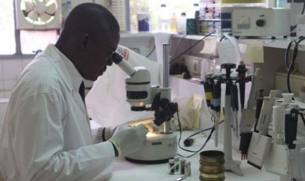 File photo: A lab scientist going through a test