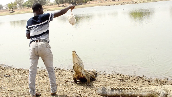 Chiana-Paga: Home to famous Paga Crocodile Pond - Constituents appeal for roads, bridge 