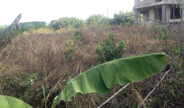 Pesticides boon or bane?