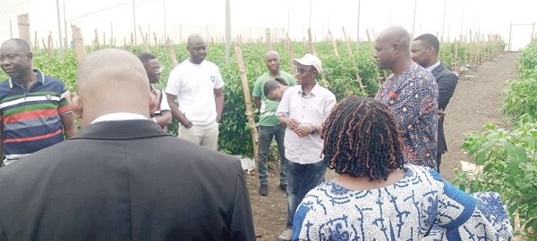 Takyi Sraha, (in cap) Chief Operating Officer, GIRSAL briefing some visitors to the farm Takyi Sraha, (in cap) Chief Operating Officer, GIRSAL briefing some visitors to the farm