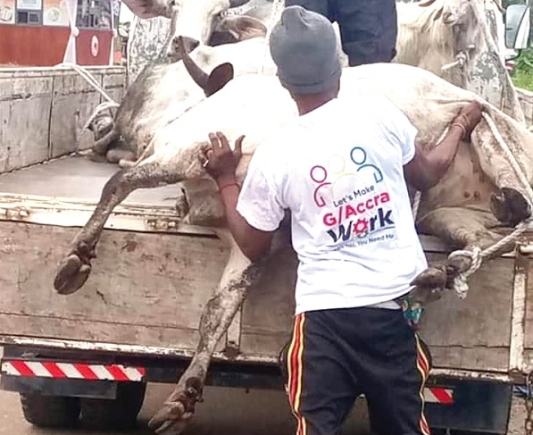 A task force in Tema clearing the street of stray animals A task force in Tema clearing the street of stray animals