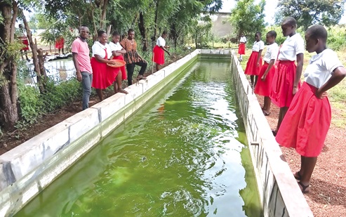 Some of the students on the school farm
