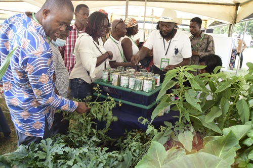 Prospective buyers at one of the stands at the launch of the Home Gardening Initiative in Accra last Friday.Picture:EMMANUEL QUAYE