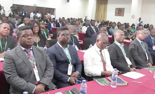 Participants in the summit.