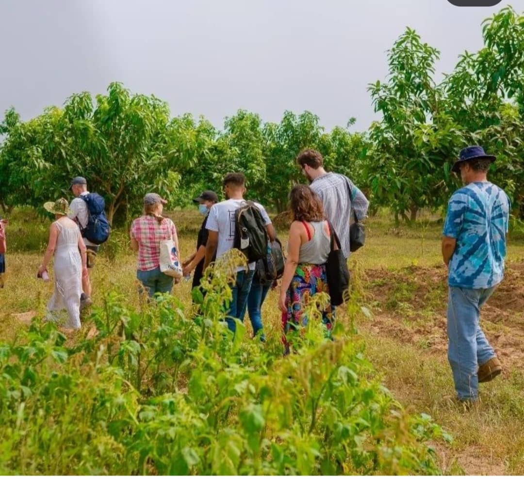 Farm tourism attracts visitors and travellers to farm areas, generally for educational and recreational purposes Photo credit: Hendy Farms Farm tourism attracts visitors and travellers to farm areas, generally for educational and recreational purposes Photo credit: Hendy Farms
