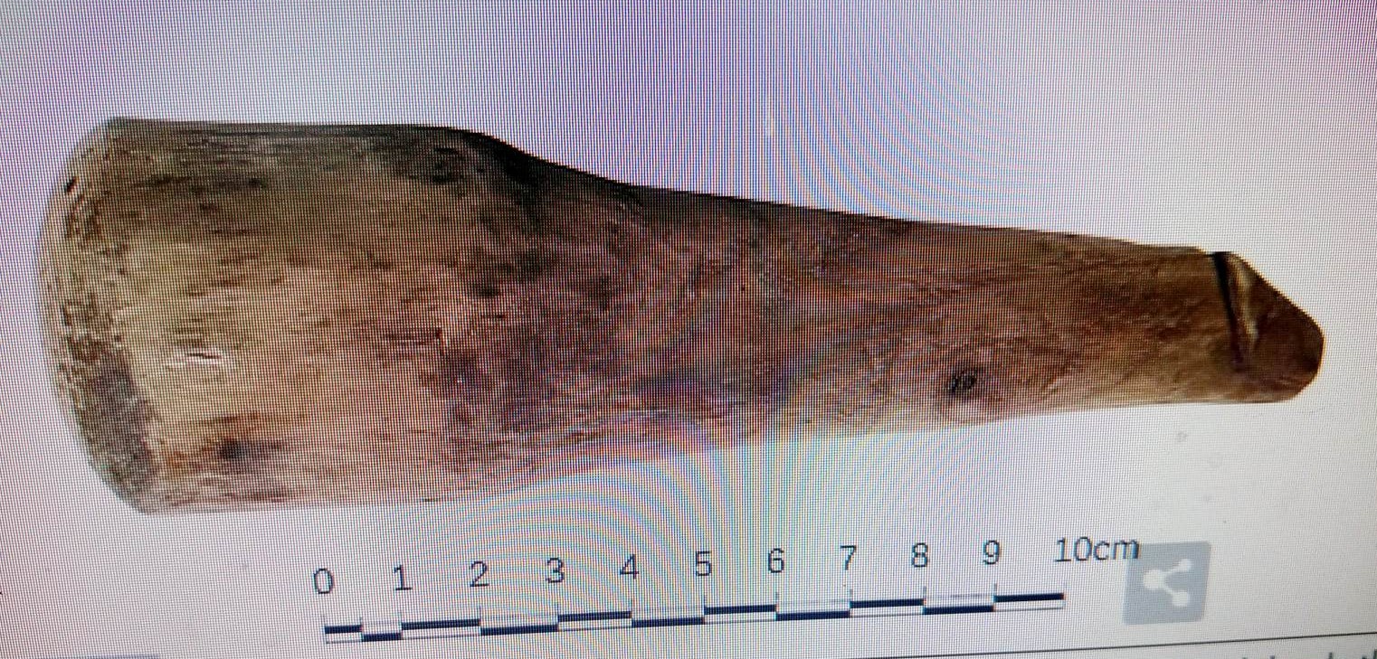 6.3in-long wooden object found suggests ancient Romans used sex toys