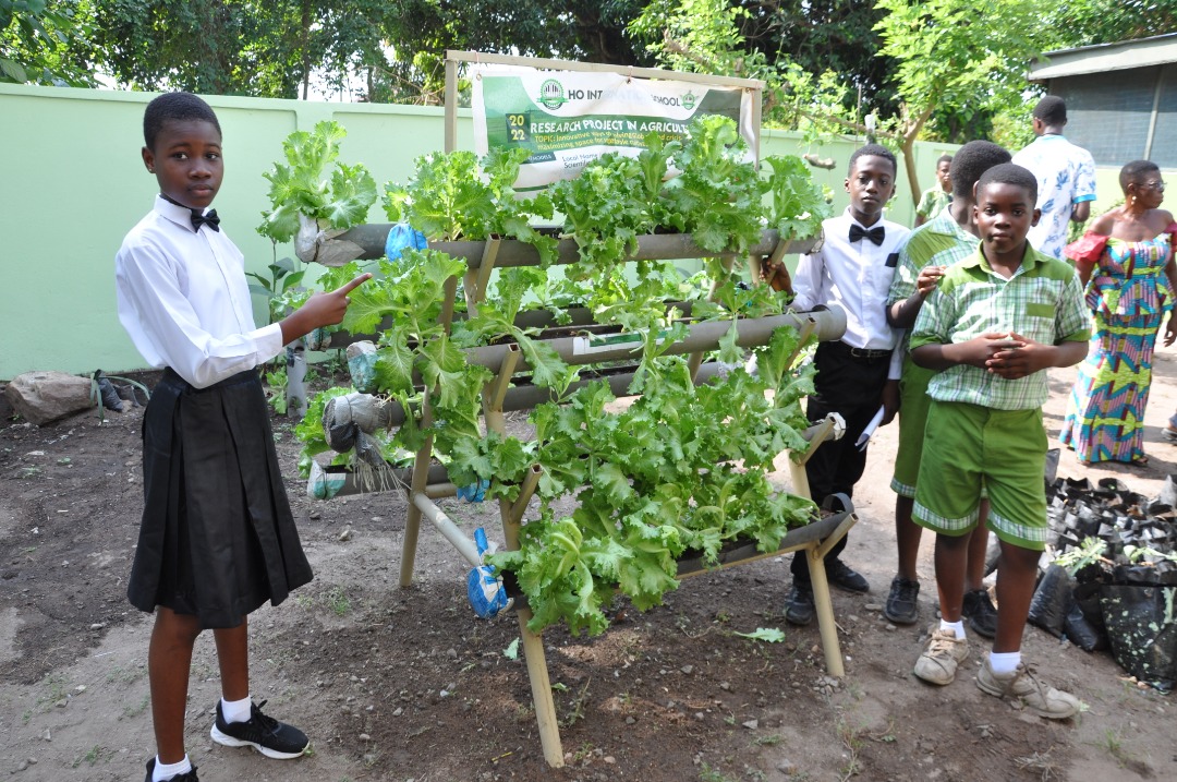 Miss Cynthia Nunyuie (left) and some of her teammates by the stand exhibiting fresh lettuce ready for harvesting. News: Schoolchildren use innovative method to produce lettuce