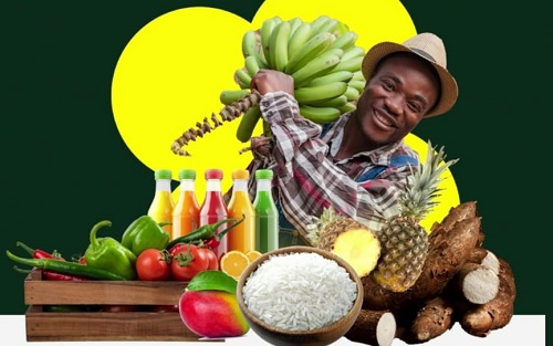 Ghana Horticulture Expo 2025 and the future of agribusiness in a 24-hour economy