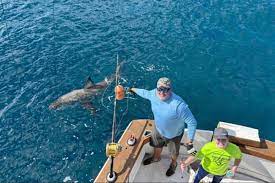 The boy who caught a great white shark