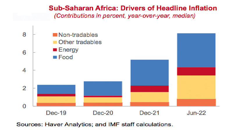 Africa’s inflation poses challenges