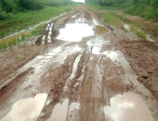 The nature of the Seikwa-Degedege-Nsawkaw road