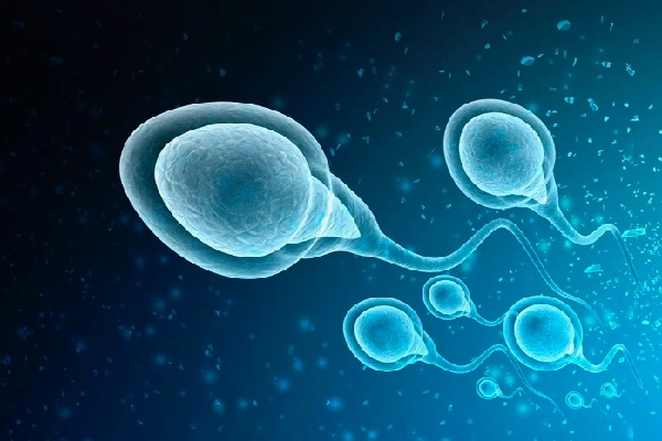 A depiction of the movement of sperms