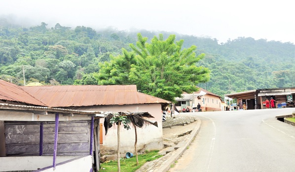 Avatime-Vane in the morning