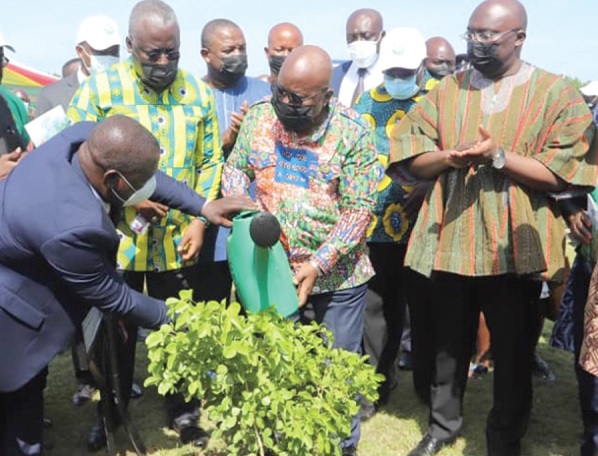 President Akufo-Addo planting a tree on a Green Ghana Day