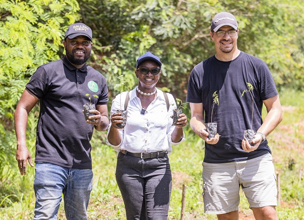 Moree benefits from Pernod Ricard’s tree-planting project Moree benefits from Pernod Ricard’s tree-planting project