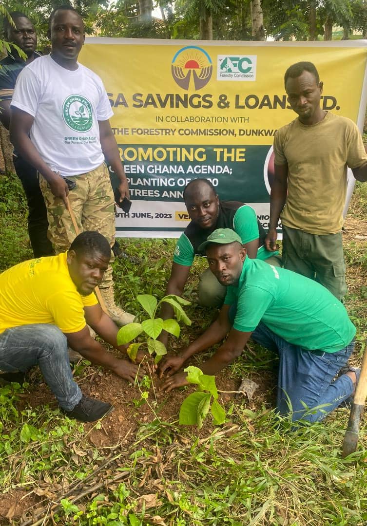 Samuel Odame (right), ASA Area Manager, Bekwai Area planting a tree on the premises of the Dunkwa Senior High Technical School. With him are Christian Duodu (2nd left), an official, Forestry Commission, Frank Nii Quaye (left), Obuasi Business Manager, ASA and other personalities. ASA Savings and loans plants 150 trees at Dunkwa-on-Offin