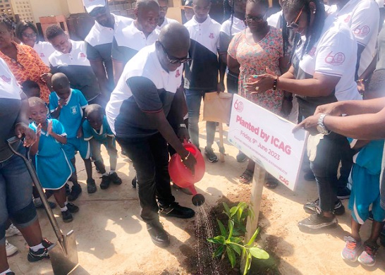 Kwasi Agyemang, CEO of ICAG, watering the plant Kwasi Agyemang, CEO of ICAG, watering the plant