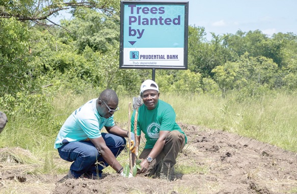 Bernard Gyebi (left), Managing Director, Prudential Bank, being assisted to plant a tree Bernard Gyebi (left), Managing Director, Prudential Bank, being assisted to plant a tree