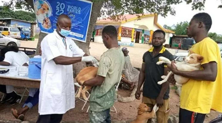 Only vaccinated animals can be slaughtered for consumption