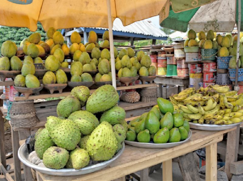 A well diversified crops sector can rake in more revenue from exports Ghana country food and agriculture delivery compact (2)