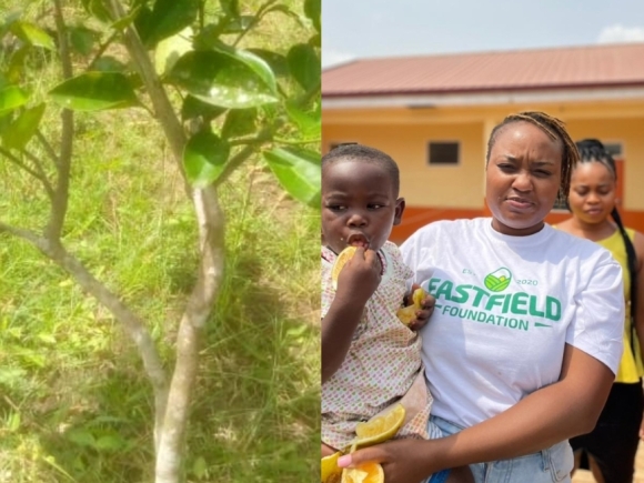 Eastfield Foundation inspires Green Ghana Day initiative Eastfield Foundation inspires Green Ghana Day initiative