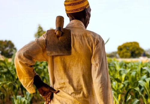 Food insecurity remains a major threat to Ghana Food insecurity remains a major threat to Ghana