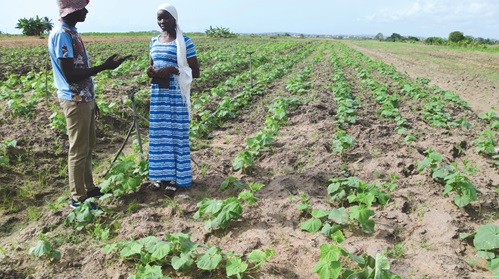 Asmao Nartey Soji being interviewed by Timothy Ngnenbe, a reporter of the Daily Graphic, at Tuba 