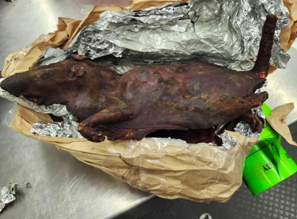 Bushmeat banned: US Customs warns travellers against bringing wild animal meat into America
