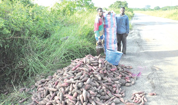 The farmers, with some of their harvests, by the roadside The farmers, with some of their harvests, by the roadside