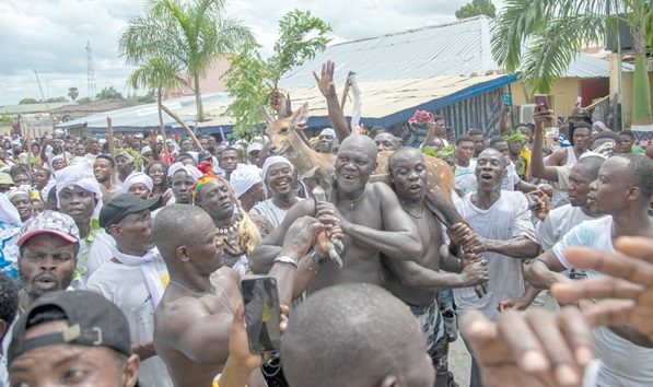 One of the Asafo companies returning with a catch during the Aboakyer (Deer Hunt) festival