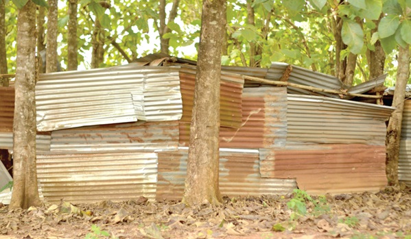 Some of the speculative structures at the site