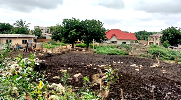 The ranch which has generated controversy.