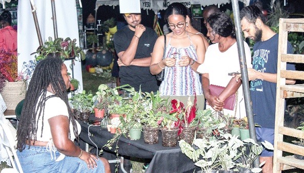 Some customers inspecting flowers at an exhibition stand. Picture: ERNEST KODZI Some customers inspecting flowers at an exhibition stand. Picture: ERNEST KODZI