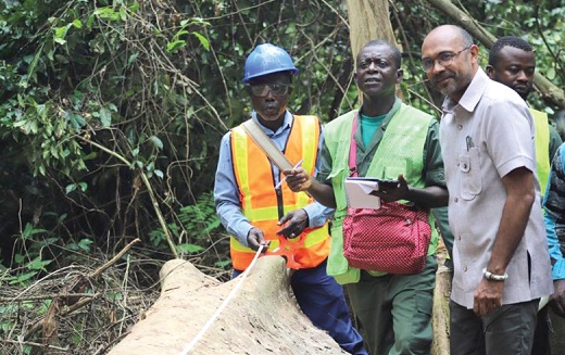 Irchad Razaaly (right), EU Ambassador to Ghana, observing the processes after a tree is felled at the Bobiri Forest Reserve in the Ashanti Region Irchad Razaaly (right), EU Ambassador to Ghana, observing the processes after a tree is felled at the Bobiri Forest Reserve in the Ashanti Region