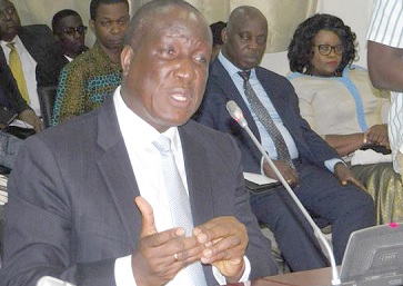 Nene-Amegatcher — Appointed by Akufo-Addo in October 2018